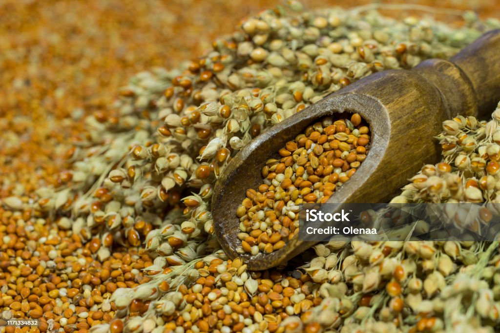 fresh orange juice fresh orange juice