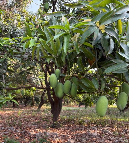 About whatsapp image 2025 08 20 at 01.48.34 (1)